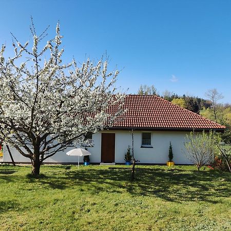 Apartament Izerskie Gaje Wojcieszyce Exterior foto