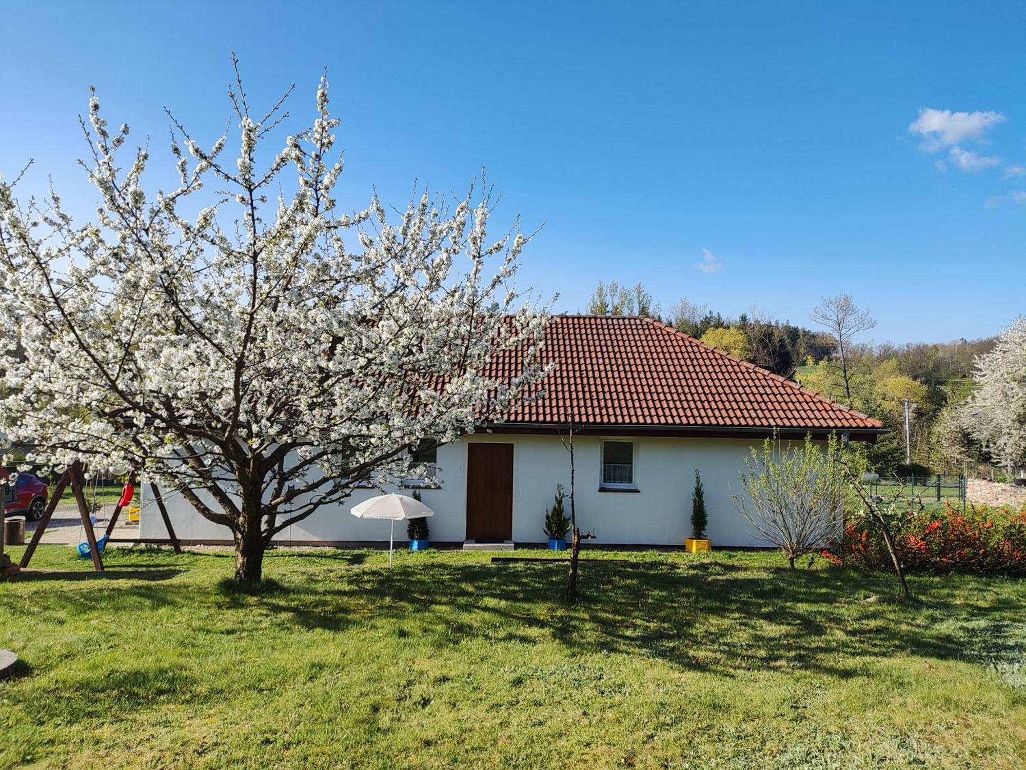 Apartament Izerskie Gaje Wojcieszyce Exterior foto