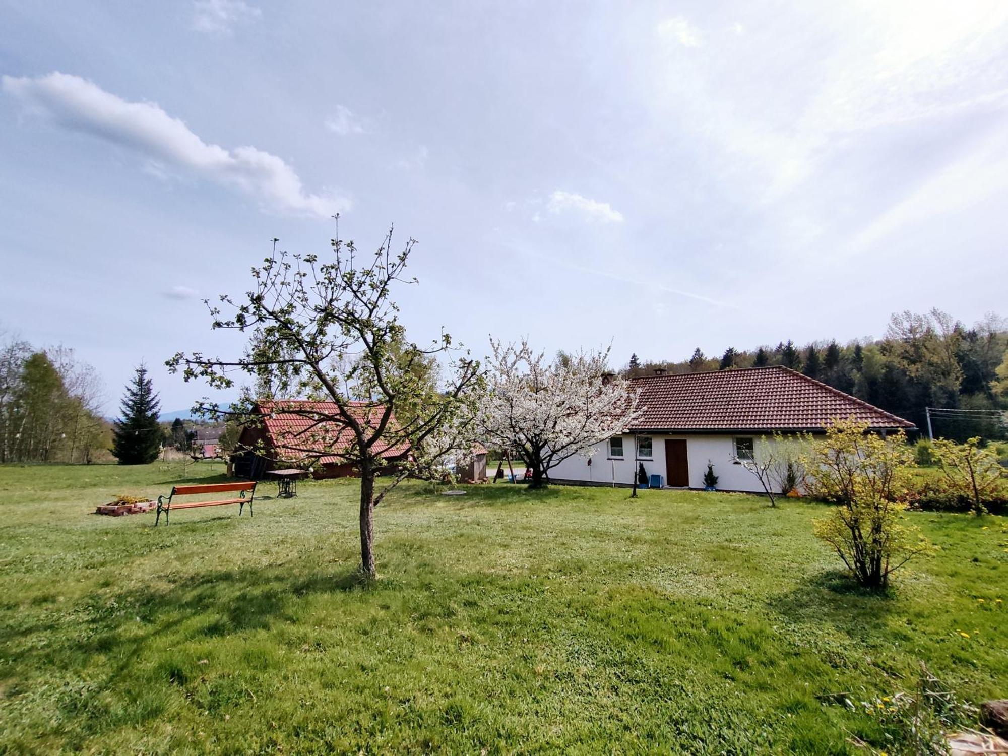 Apartament Izerskie Gaje Wojcieszyce Exterior foto
